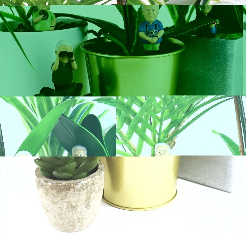 Attenborough Gartenzwerge für den Blumentopf