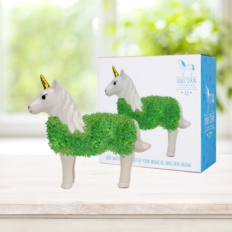 Chia Einhorn🦄 - Geschenkebuddy