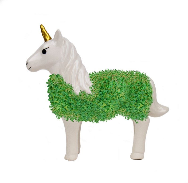 Chia Einhorn🦄 - Geschenkebuddy