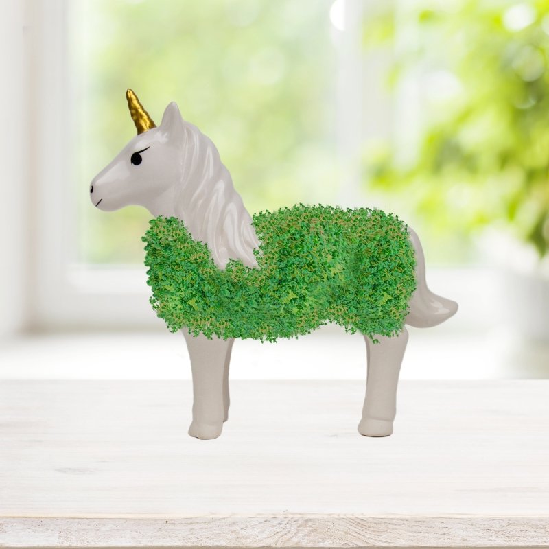 Chia Einhorn🦄 - Geschenkebuddy