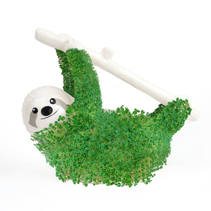 Chia-Faultier 🦥