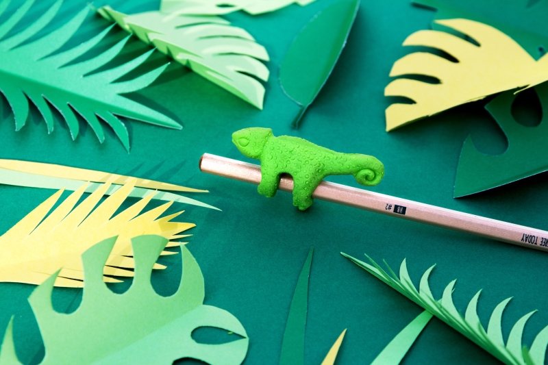Dschungel Radierer mit Bleistift | Jungle Eraser 🦎 Chamäleon