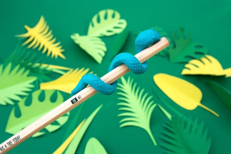 Dschungel Radierer mit Bleistift | Jungle Eraser 🦎 Schlange