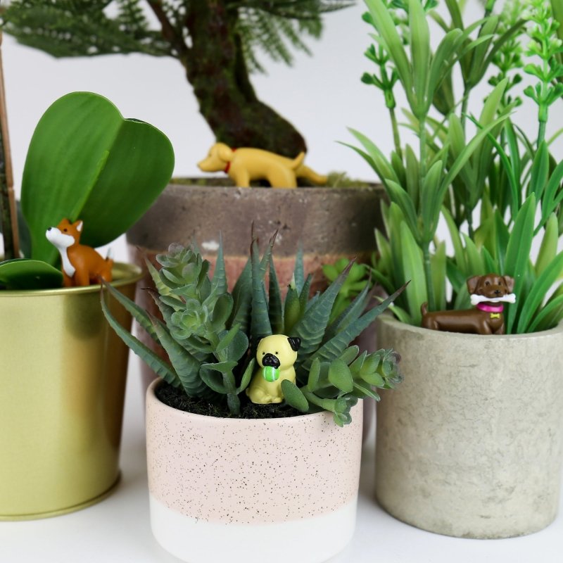 Figuren für den Blumentopf - Geschenkebuddy