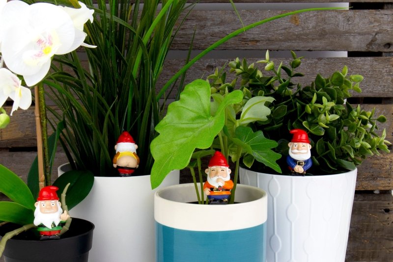 Freche Mini Gartenzwerge | Mini Naughty Gnomes Planters - Geschenkebuddy