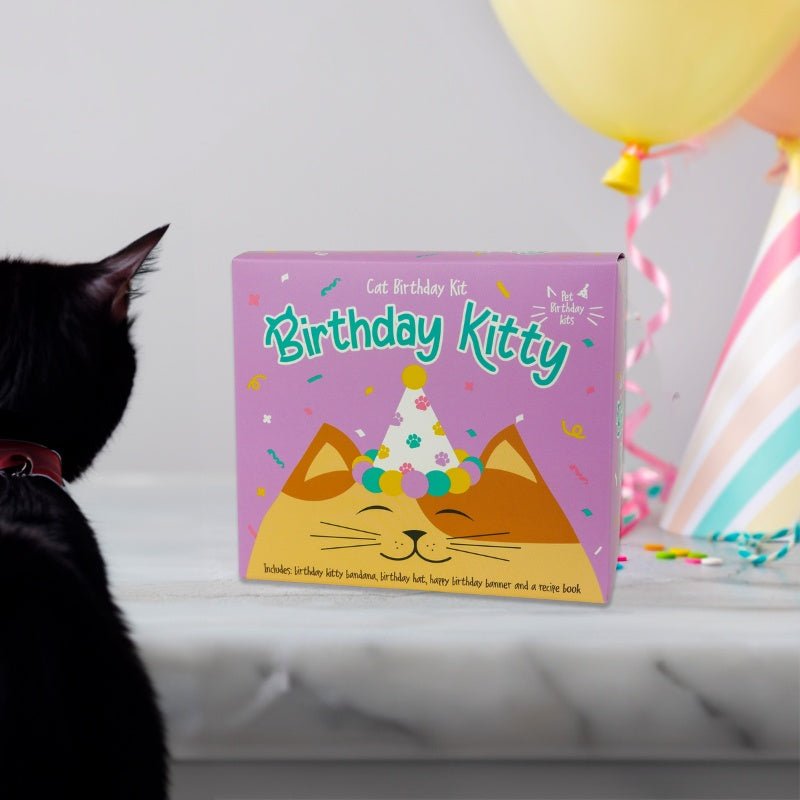 Geburtstagsset für Katzen - Geschenkebuddy