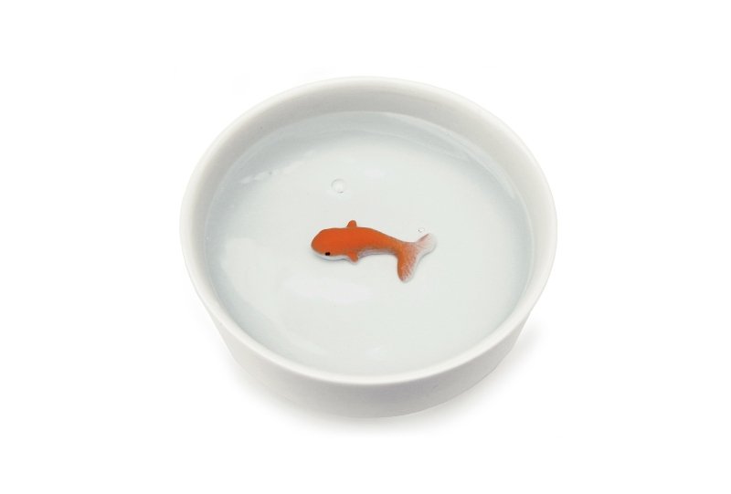 Goldfisch Wasserschale | Fish Pet Bowl 🐟 - Geschenkebuddy