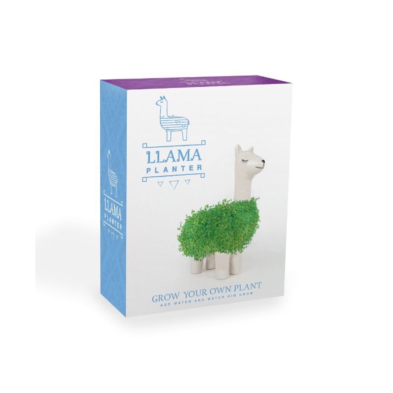 Green Lama Pflanztier | Das Keramik Lama zum Chia Samen Züchten - Geschenkebuddy