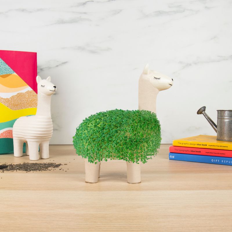 Green Lama Pflanztier | Das Keramik Lama zum Chia Samen Züchten - Geschenkebuddy