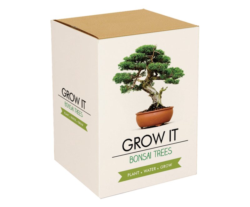 Grow it Bonsai Bäume