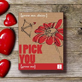 Grow Me - Geschenk Sets | Blumenaufzucht Sets
