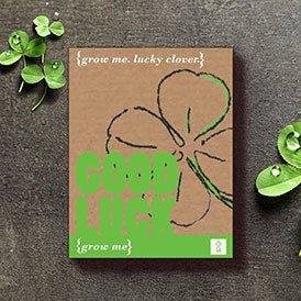 Grow Me - Geschenk Sets | Blumenaufzucht Sets