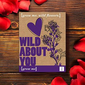 Grow Me - Geschenk Sets | Blumenaufzucht Sets