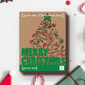 Grow Me - Geschenk Sets | Blumenaufzucht Sets Merry Christmas