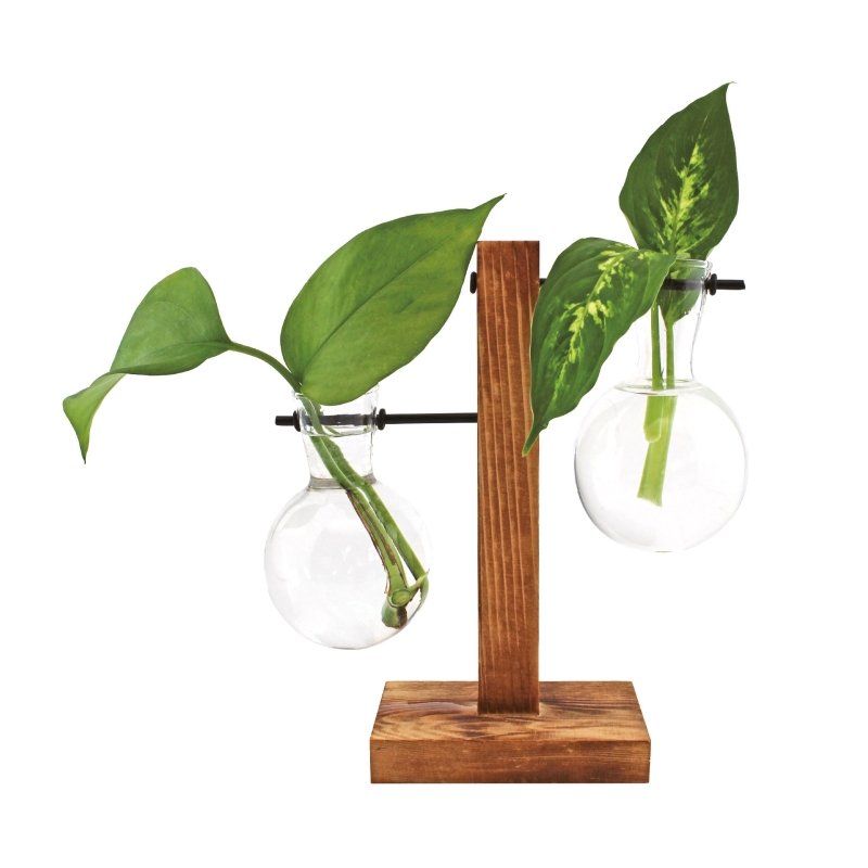 Hydro Vasen 🌿💧 - Geschenkebuddy