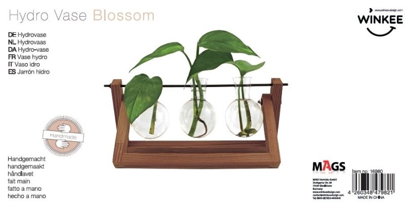Hydro Vasen 🌿💧 - Geschenkebuddy