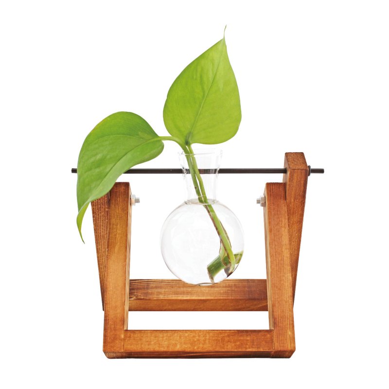 Hydro Vasen 🌿💧 - Geschenkebuddy