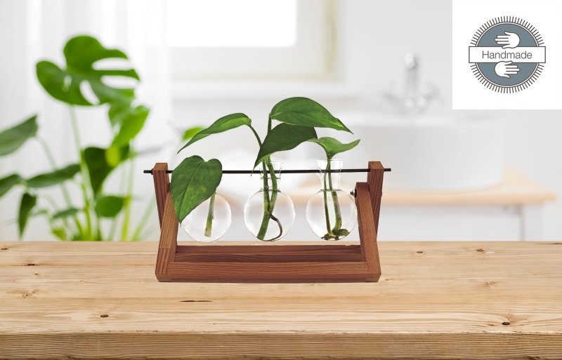Hydro Vasen 🌿💧 - Geschenkebuddy