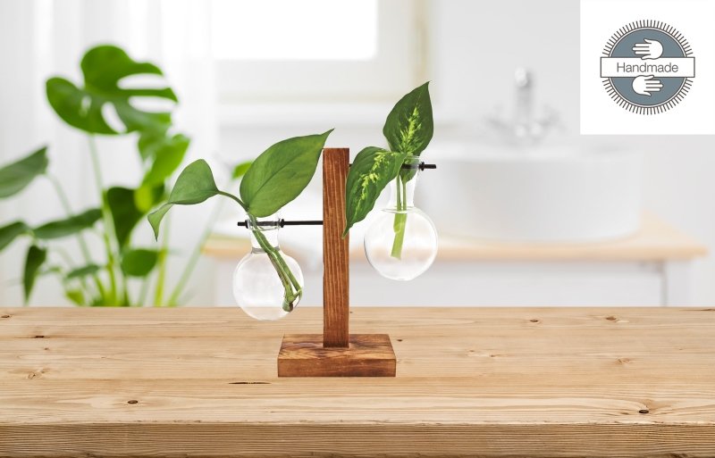 Hydro Vasen 🌿💧 - Geschenkebuddy