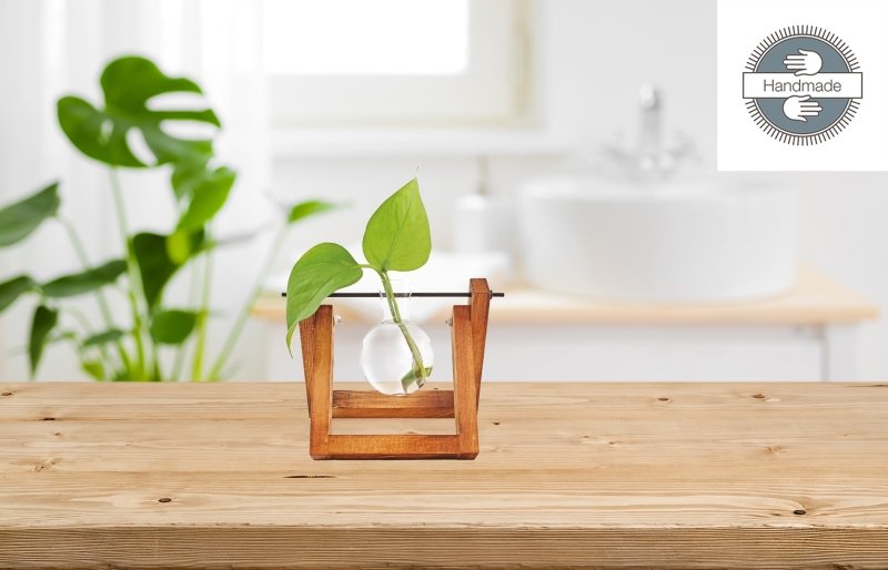 Hydro Vasen 🌿💧 - Geschenkebuddy