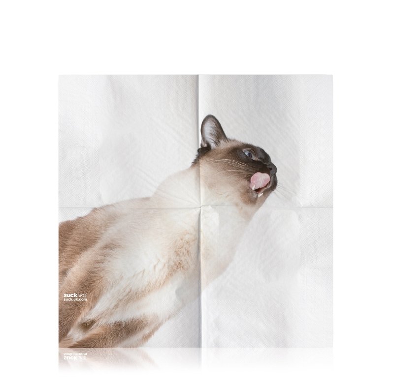 Kätzchen Servietten | Cat Napkins Pack of 24 🐈