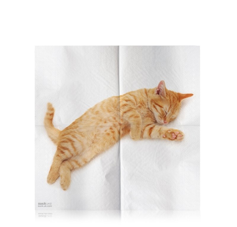 Kätzchen Servietten | Cat Napkins Pack of 24 🐈