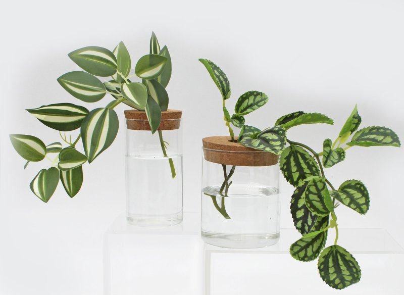 Korkvasen 2er Set 🌿 - Geschenkebuddy