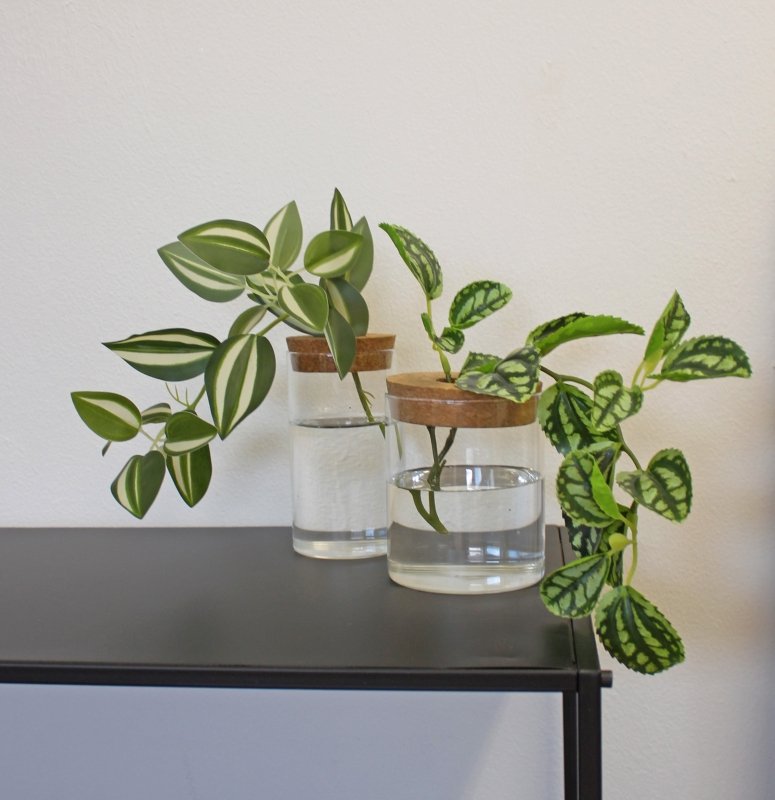Korkvasen 2er Set 🌿 - Geschenkebuddy