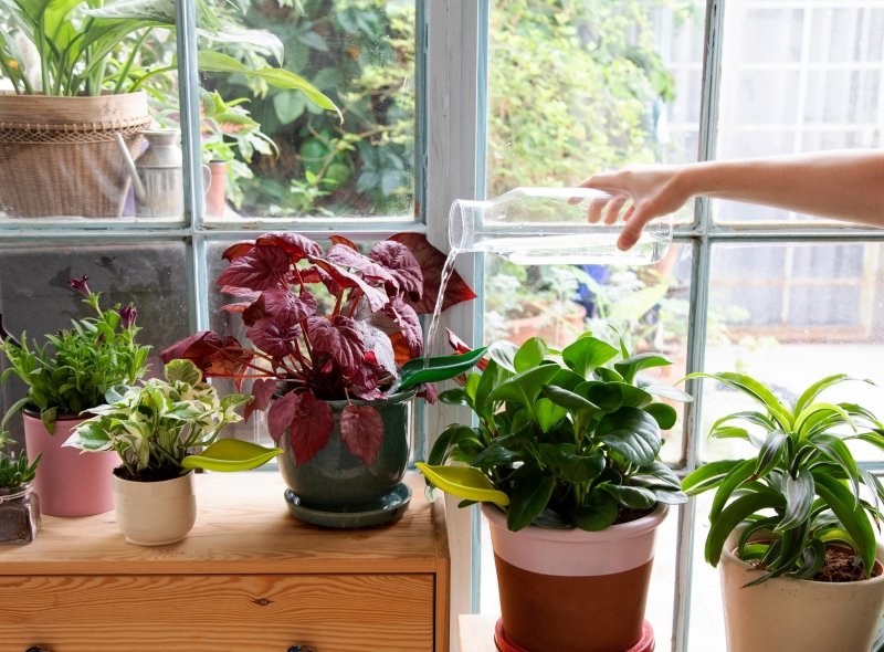 Leaflow Bewässerungstrichter | Leaflow Pot watering funnel