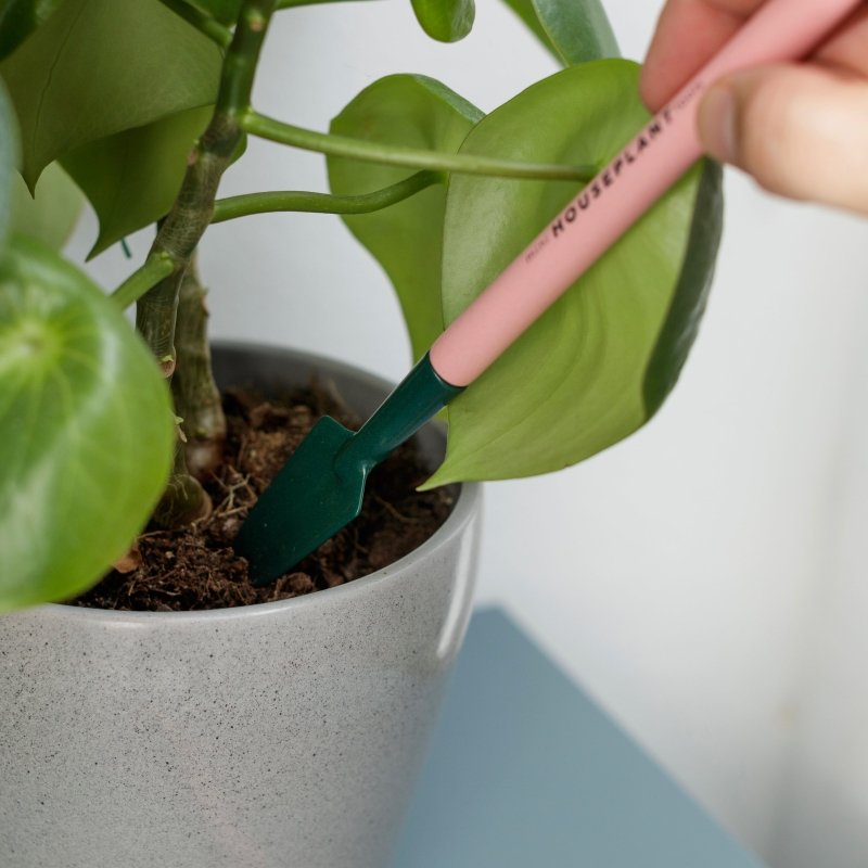 Mini Gartengeräte - Geschenkebuddy