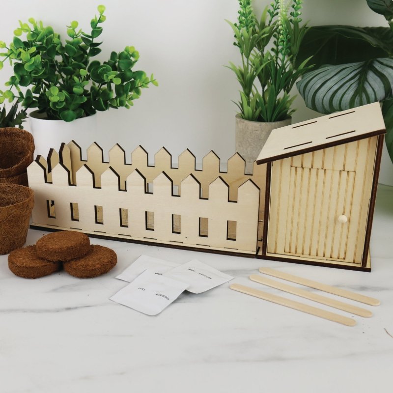 Mini Indoor Kleingarten - Pflanzset - Geschenkebuddy