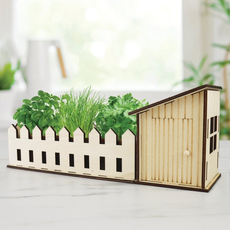 Mini Indoor Kleingarten - Pflanzset - Geschenkebuddy