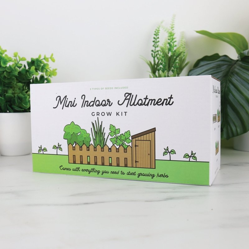 Mini Indoor Kleingarten - Pflanzset - Geschenkebuddy
