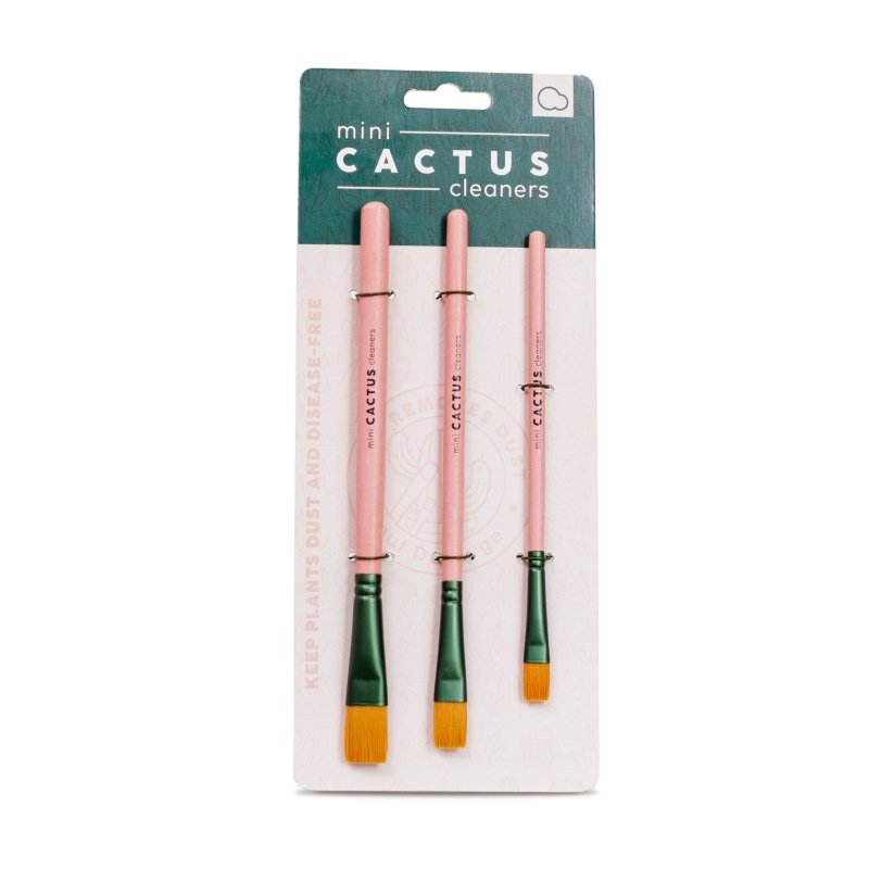 Mini Kaktus Reinigungsset