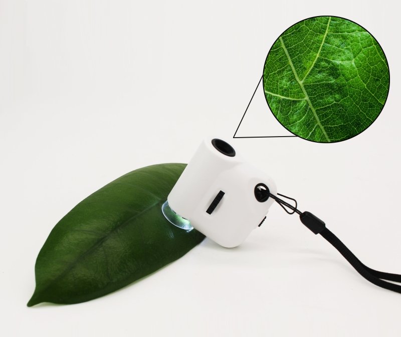 Mini Mikroskop mit Licht | Mini Microcospe - Geschenkebuddy