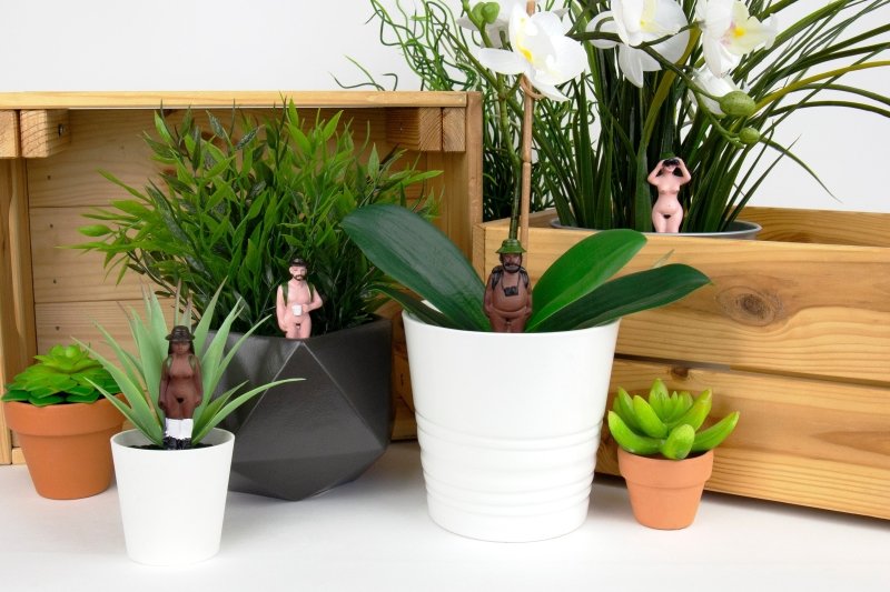 Nackte Wanderer Mini Gartenzwerge | Mini Naked Ramblers Planters - Geschenkebuddy
