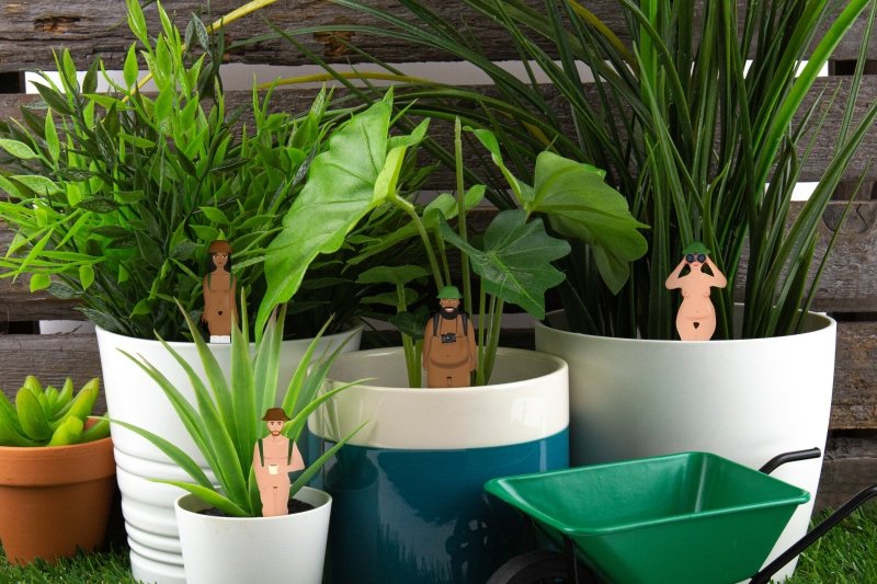 Nackte Wanderer Mini Gartenzwerge | Mini Naked Ramblers Planters - Geschenkebuddy