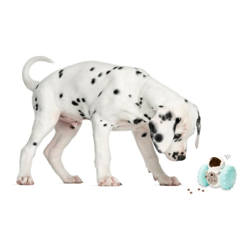 Pet Care Leckerli Roboter Spielzeug - Geschenkebuddy