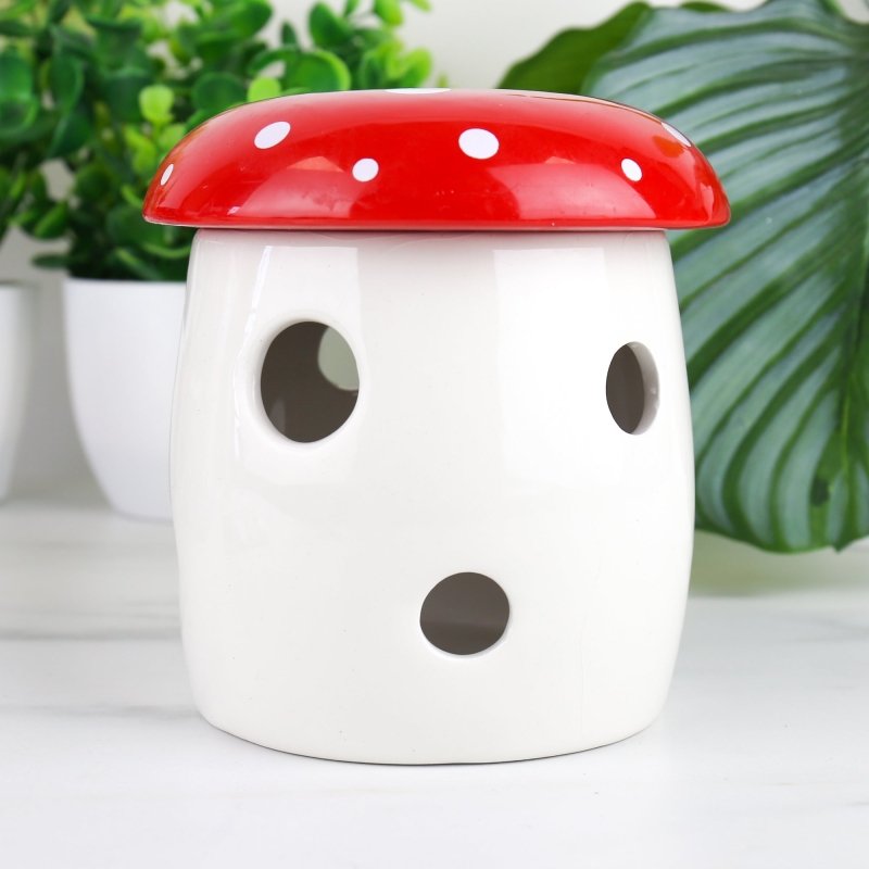 Pilze Aufzuchtset - Geschenkebuddy