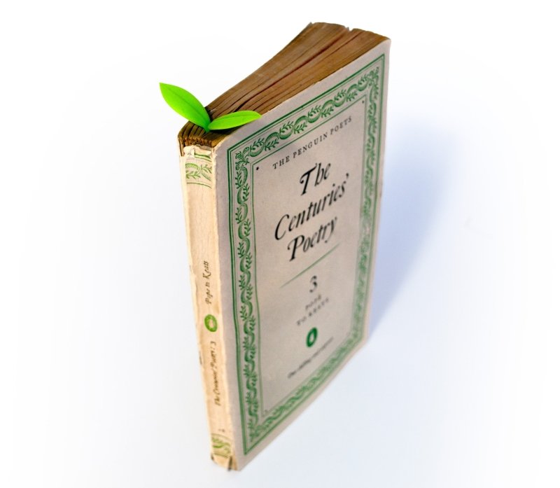 Spross Lesezeichen 3er Set - Geschenkebuddy