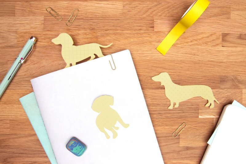 Tierische Haftnotizen 3er Set Katze | Hund - Geschenkebuddy