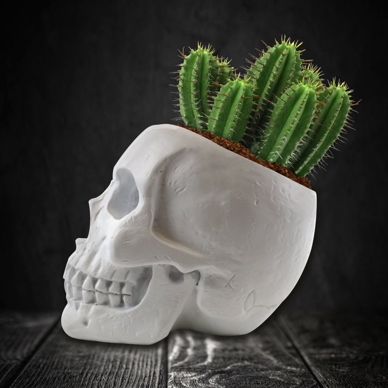 Totenkopf Pflanzset