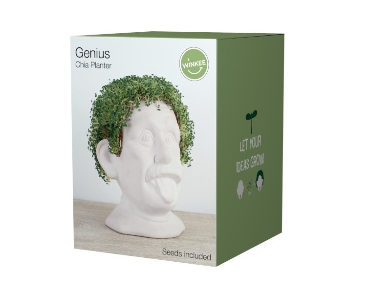 Winkee - Chia Genie | Keramik Büste zum Chia Samen Züchten - Geschenkebuddy