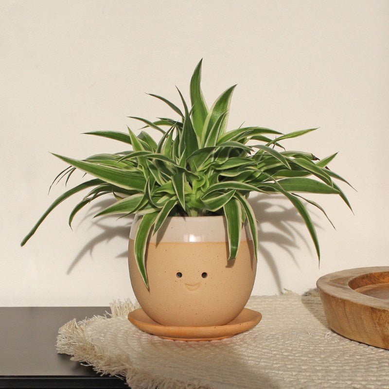 Winkee - Crying Pot Blumentopf - Weinender Blumentopf