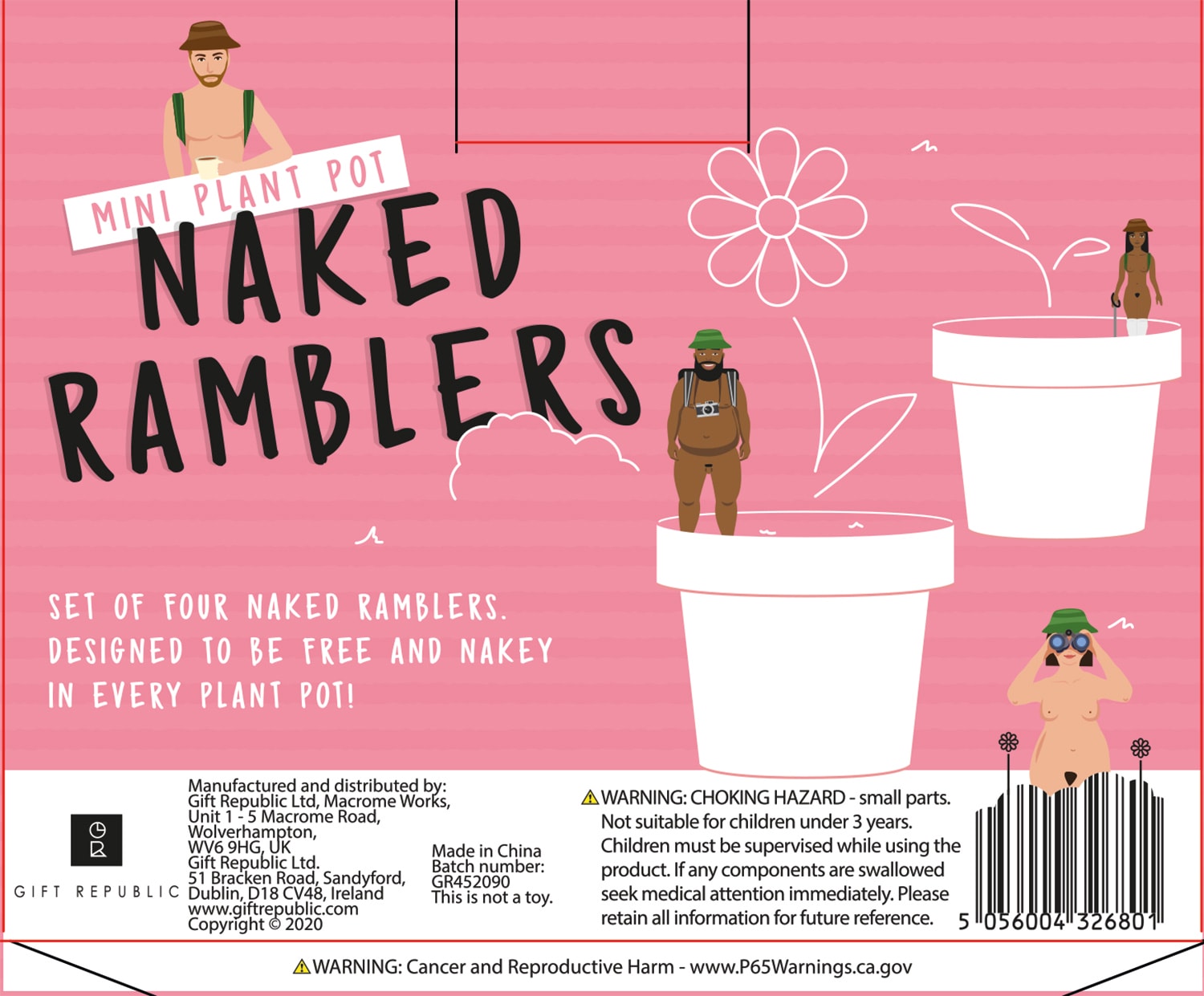 Nackte Wanderer Mini Gartenzwerge | Mini Naked Ramblers Planters