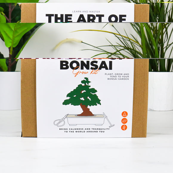 Die Kunst des Bonsai Pflanzset 🌳