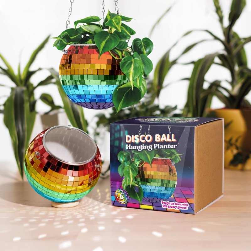 Disco Kugel Blumentopf Regenbogen - Geschenkebuddy