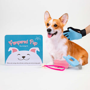 Hunde Verwöhn-Kit | Pampered Pup Dog Massage Kit 🐕