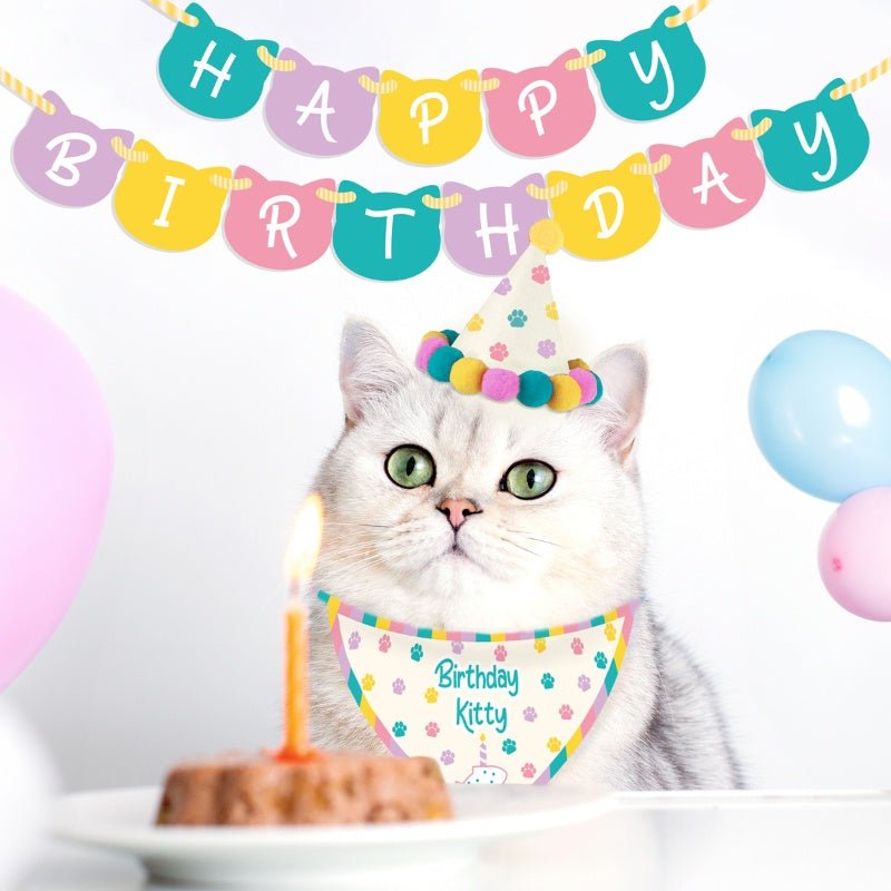 Geburtstagsset für Katzen - Geschenkebuddy