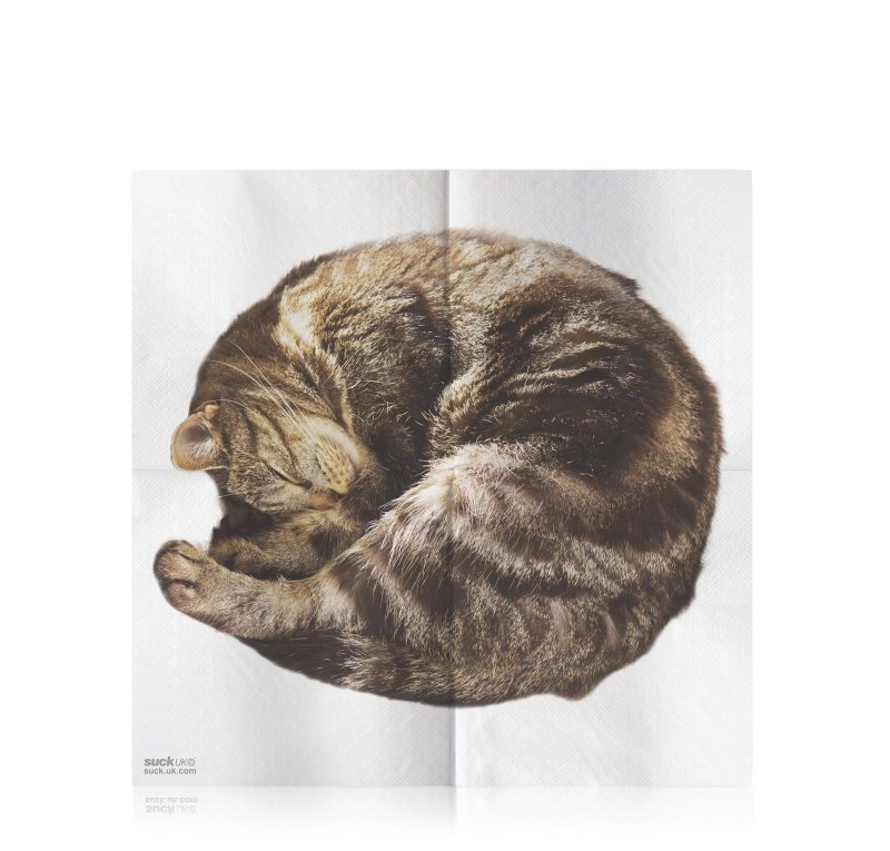 Kätzchen Servietten | Cat Napkins Pack of 24 🐈
